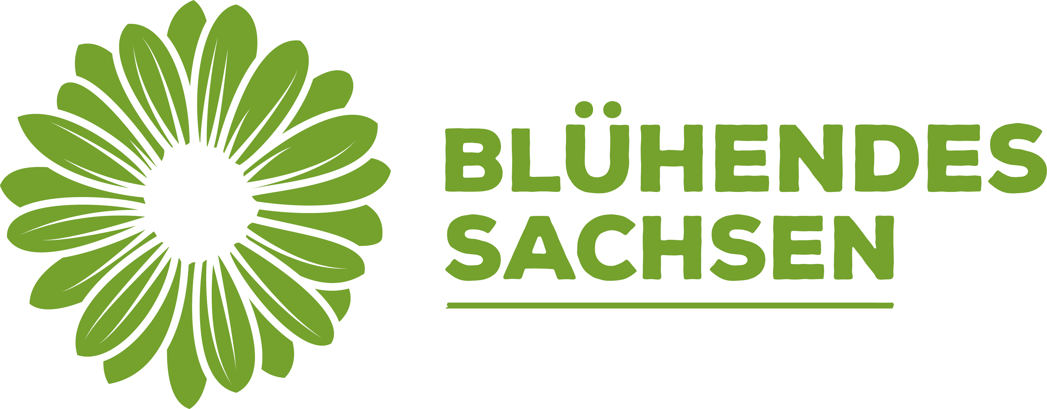 Blühendes Sachsen